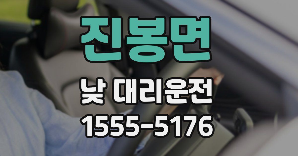 진봉면 낮 대리운전