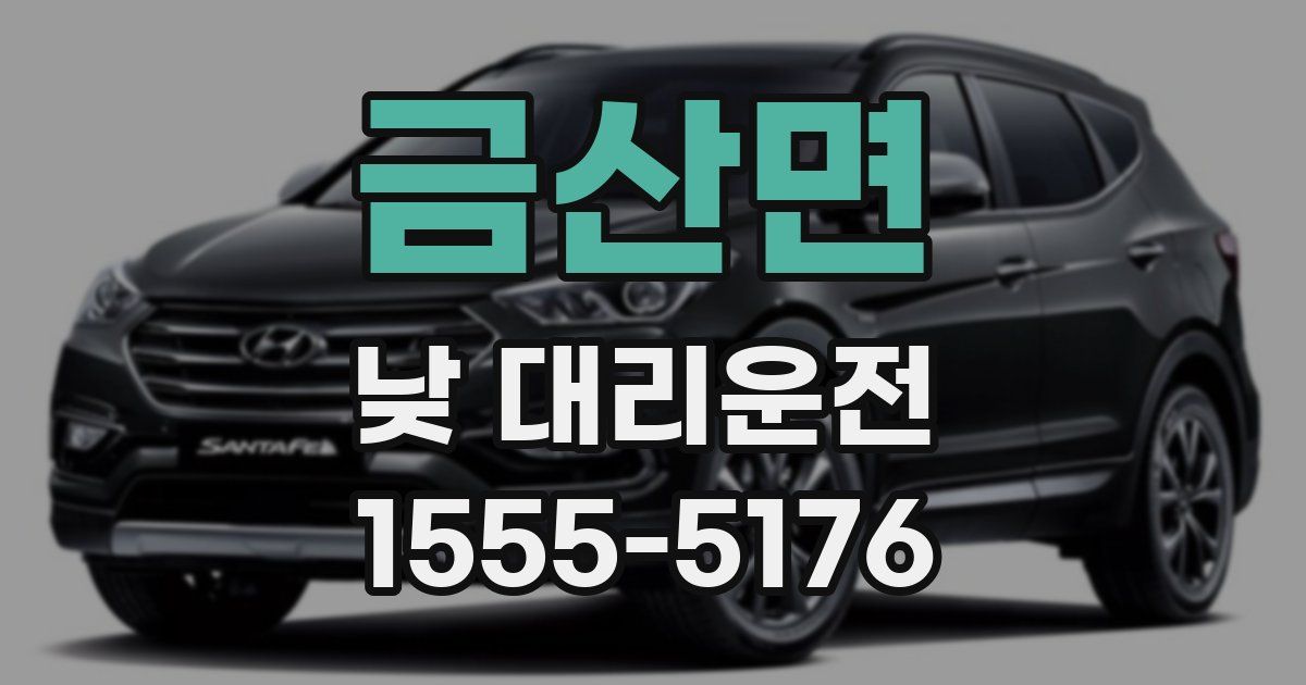 금산면 낮 대리운전