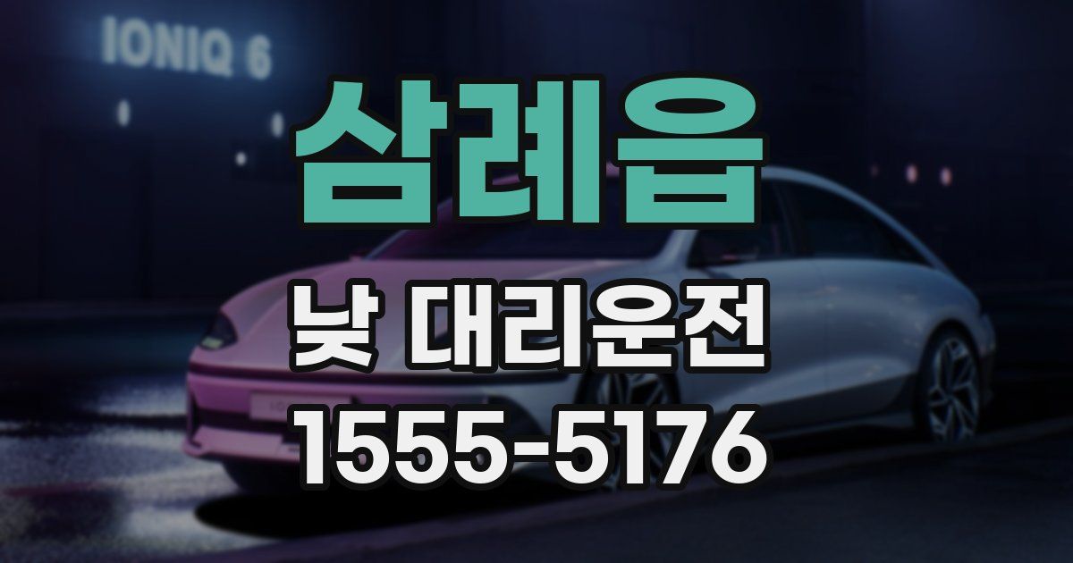 삼례읍 낮 대리운전