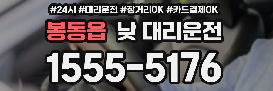 봉동읍 낮 대리운전