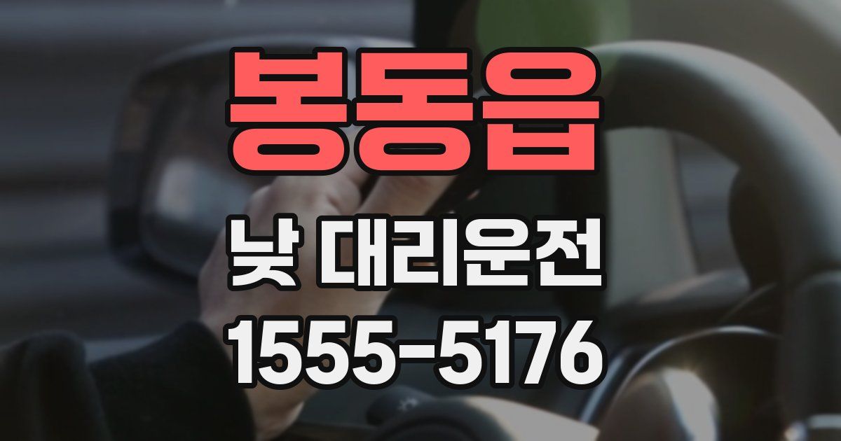 봉동읍 낮 대리운전