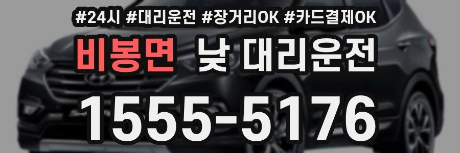 비봉면 낮 대리운전