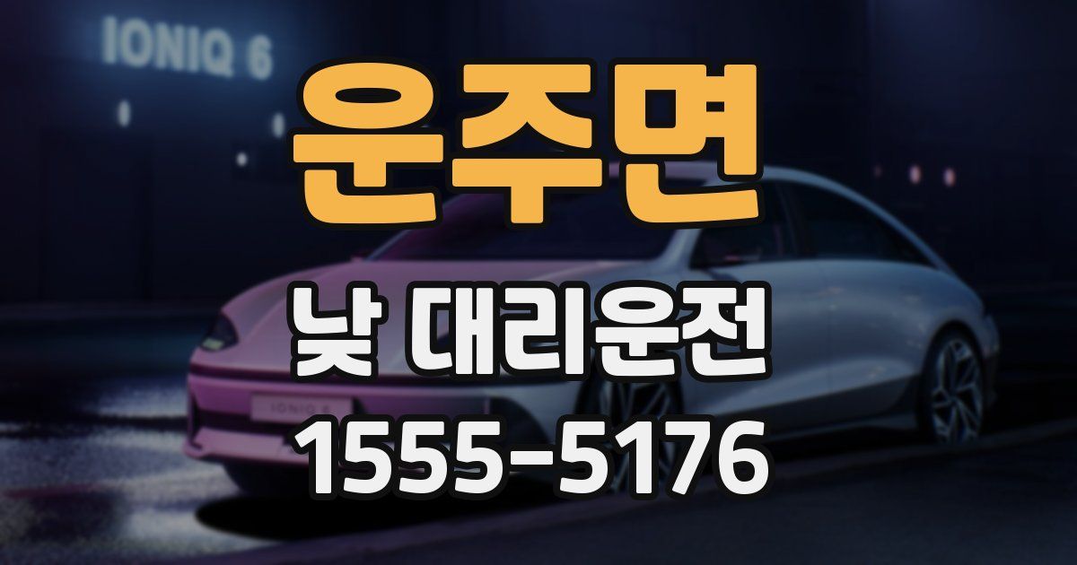운주면 낮 대리운전
