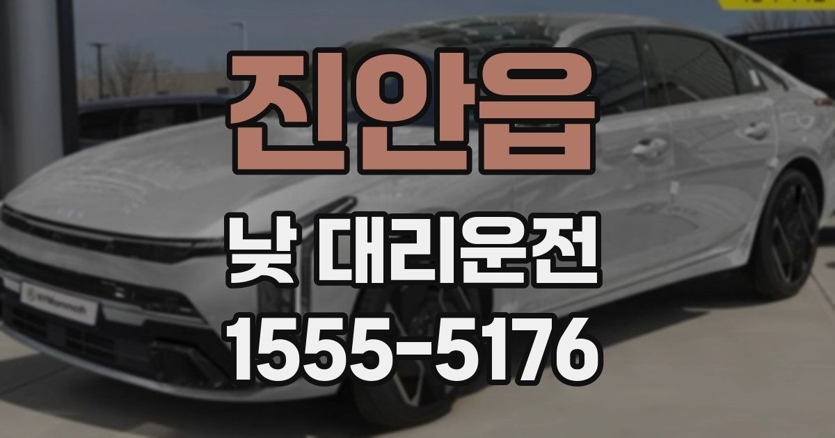 진안읍 낮 대리운전