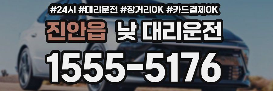 진안읍 낮 대리운전