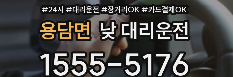 용담면 낮 대리운전