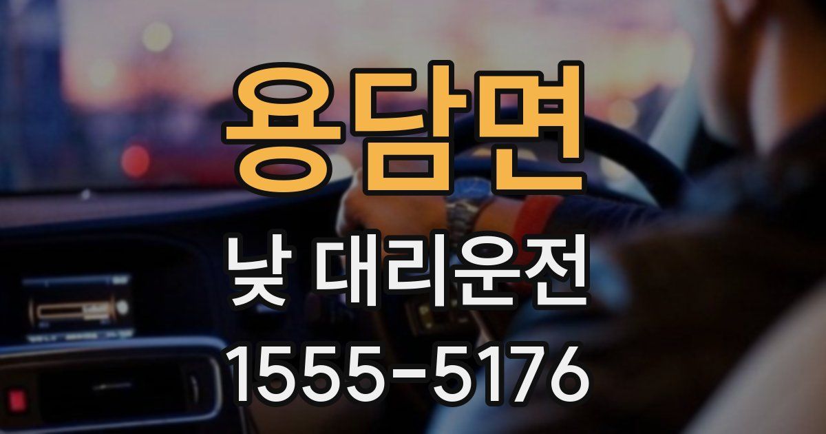 용담면 낮 대리운전