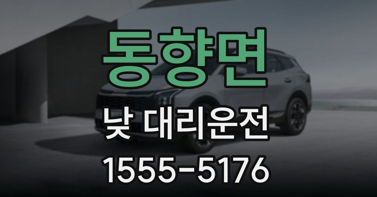 동향면 낮 대리운전