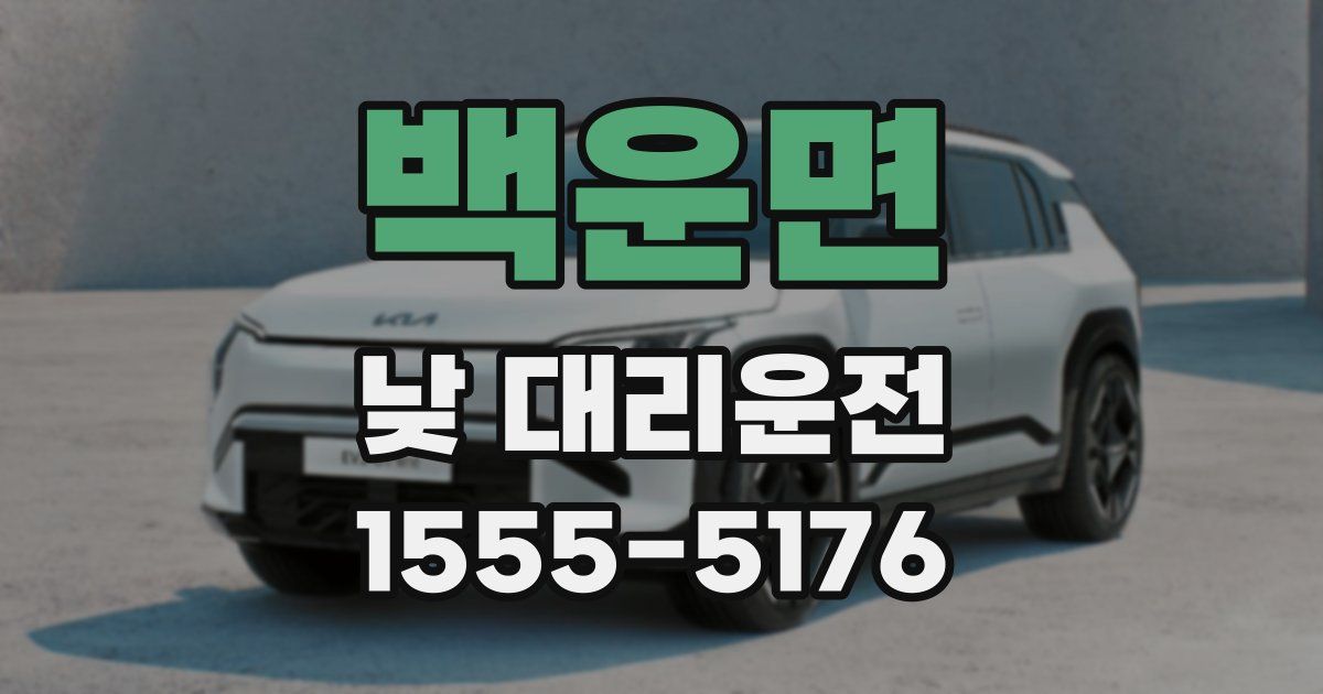 백운면 낮 대리운전