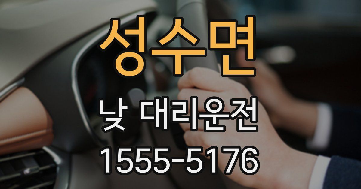 성수면 낮 대리운전