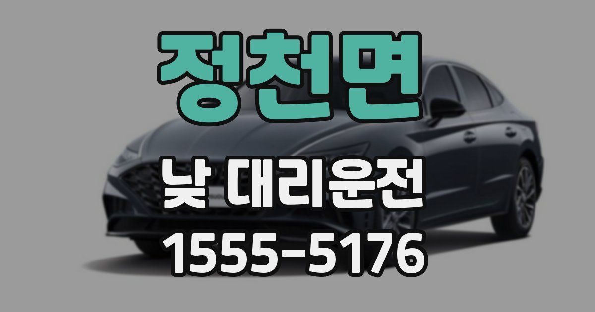 정천면 낮 대리운전