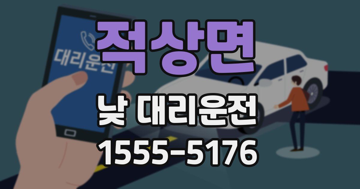 적상면 낮 대리운전
