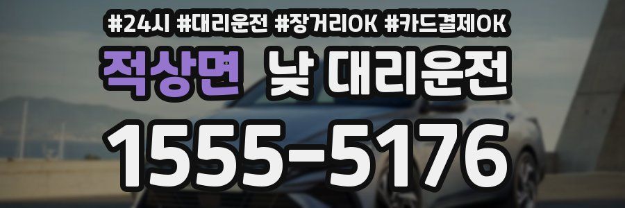 적상면 낮 대리운전