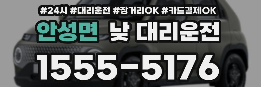 안성면 낮 대리운전