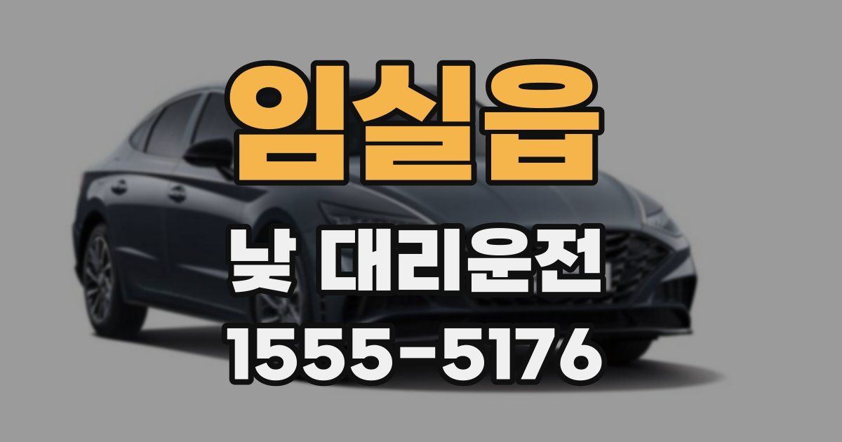 임실읍 낮 대리운전