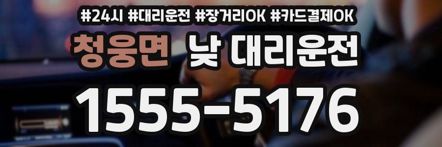 청웅면 낮 대리운전