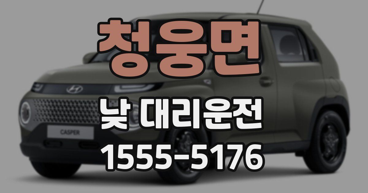 청웅면 낮 대리운전