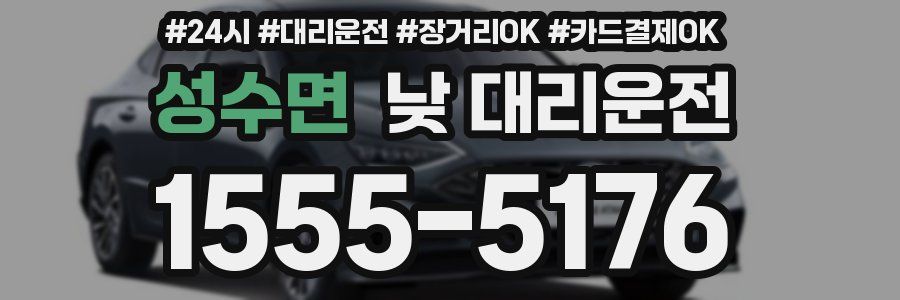 성수면 낮 대리운전