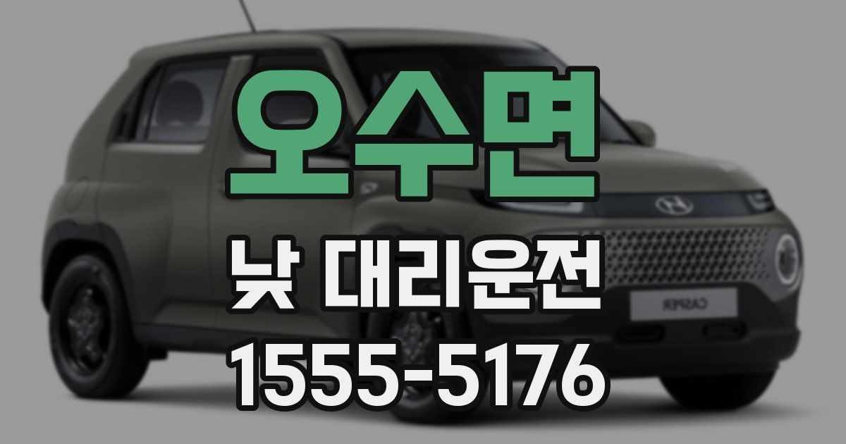 오수면 낮 대리운전