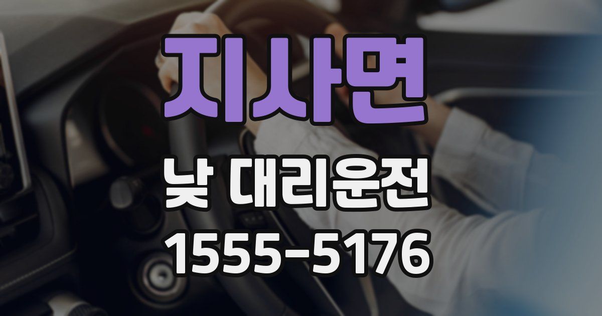 지사면 낮 대리운전