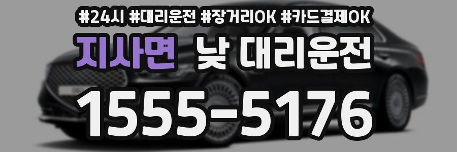 지사면 낮 대리운전