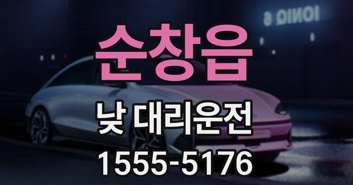 순창읍 낮 대리운전