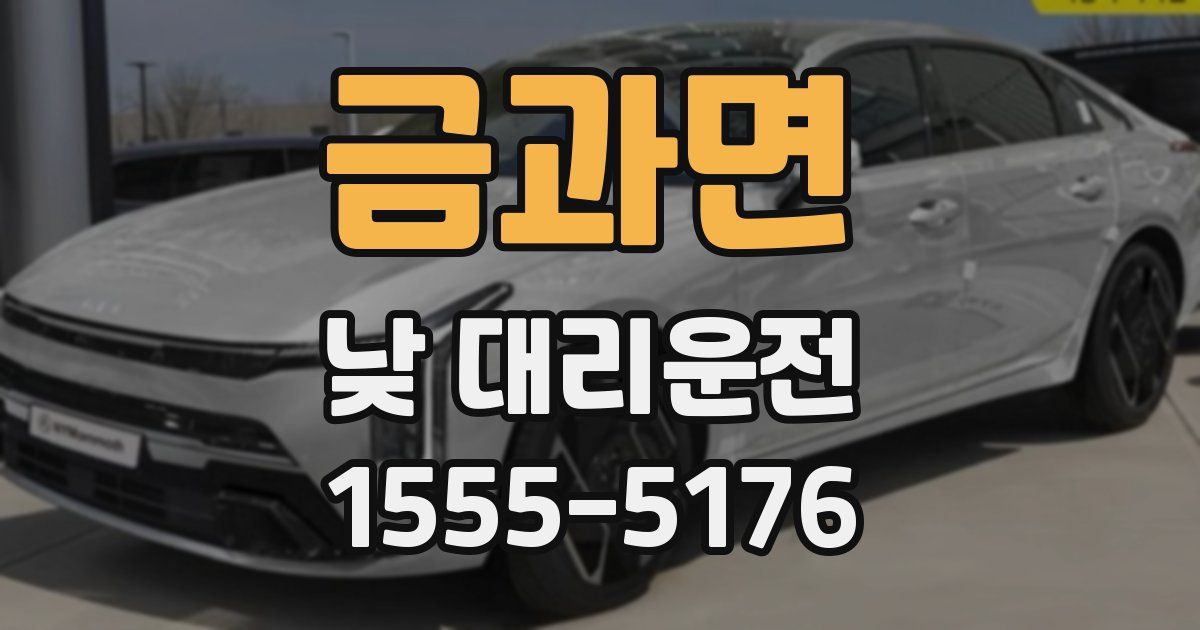 금과면 낮 대리운전