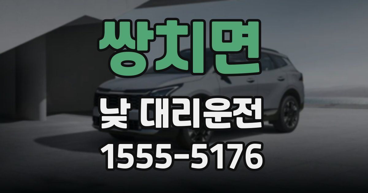 쌍치면 낮 대리운전