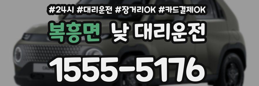 복흥면 낮 대리운전