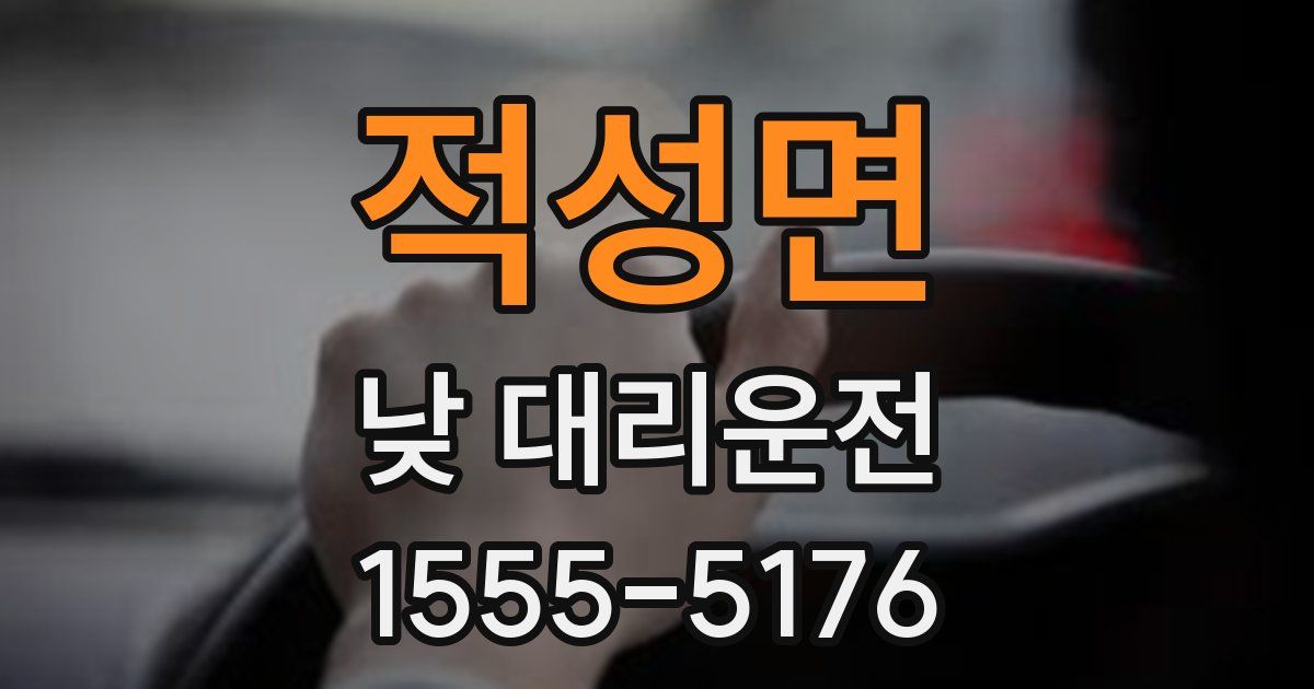 적성면 낮 대리운전