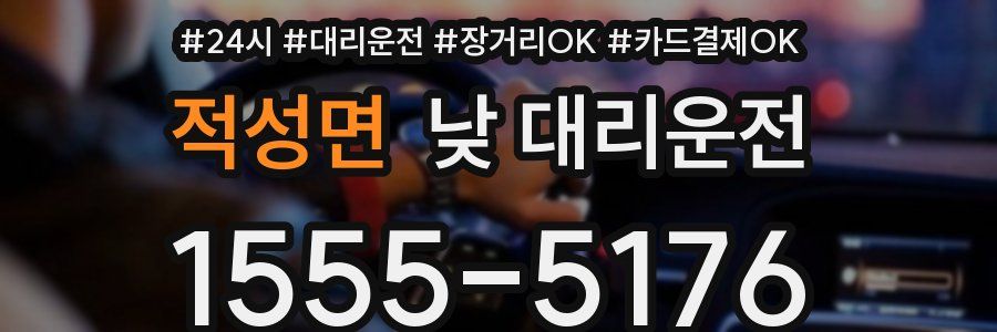 적성면 낮 대리운전