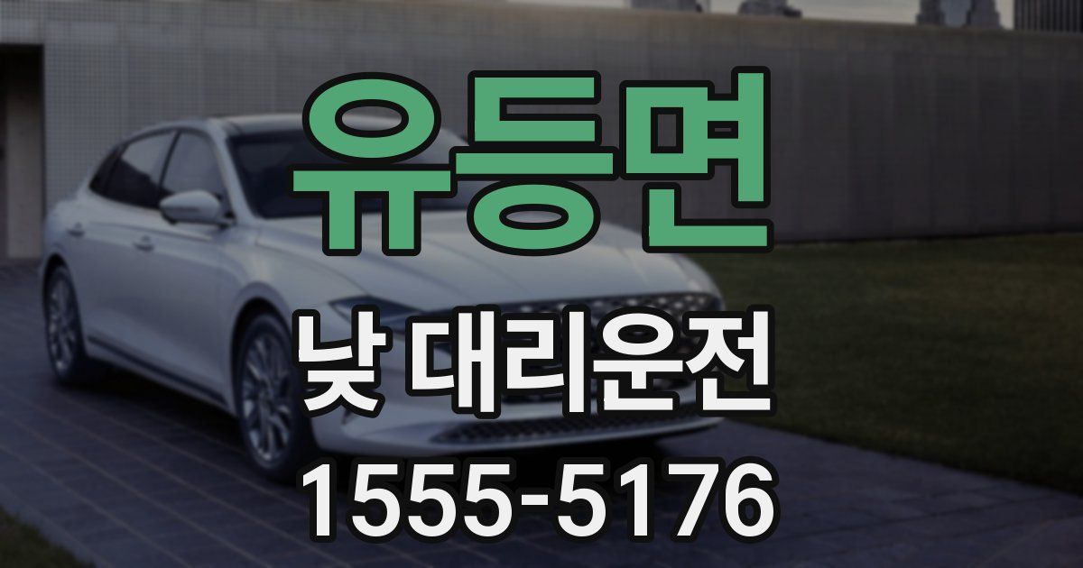 유등면 낮 대리운전