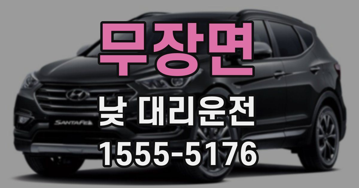 무장면 낮 대리운전