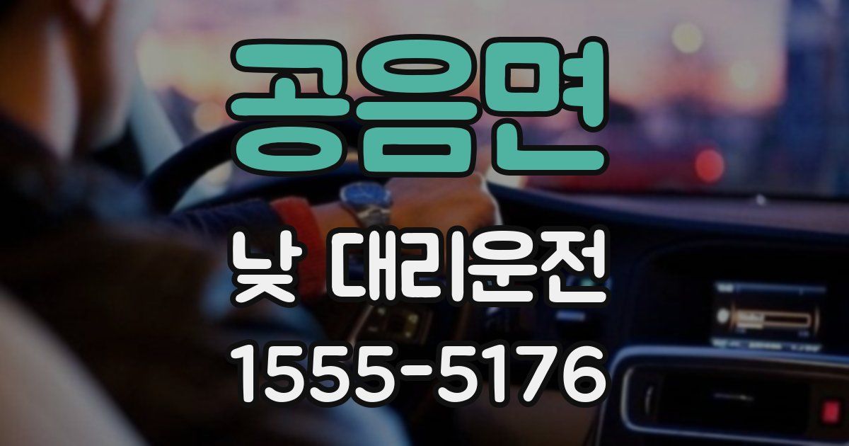 공음면 낮 대리운전