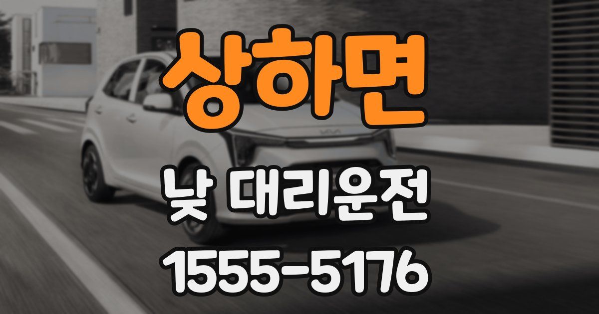 상하면 낮 대리운전