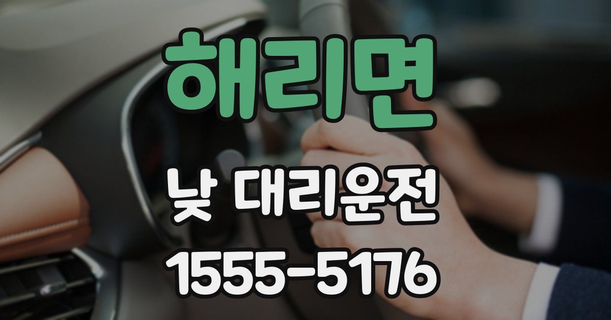 해리면 낮 대리운전