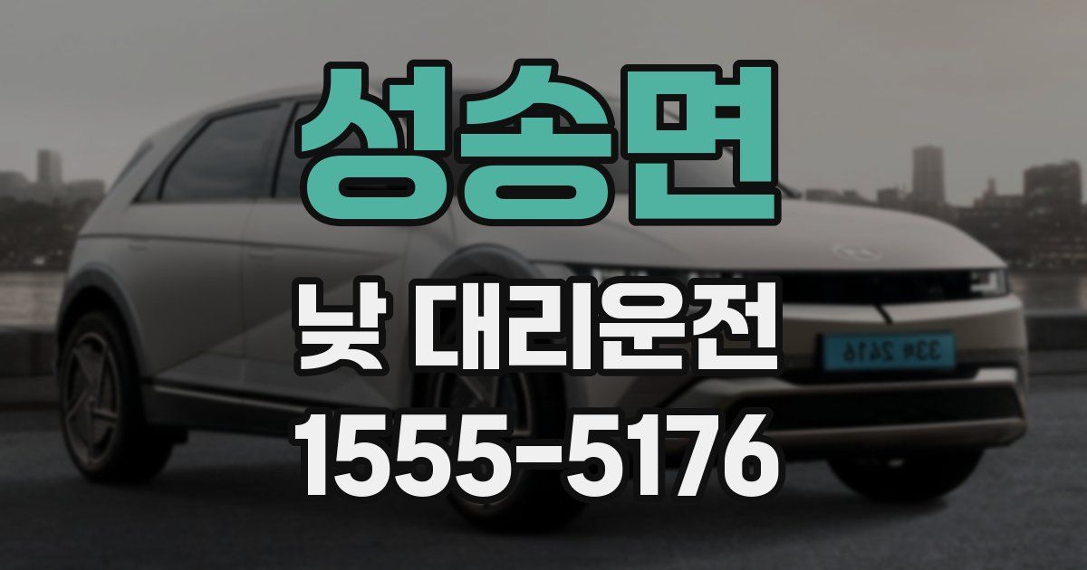 성송면 낮 대리운전