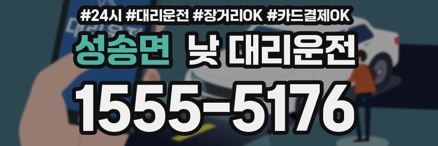 성송면 낮 대리운전