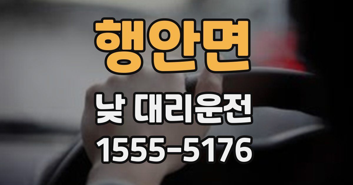 행안면 낮 대리운전