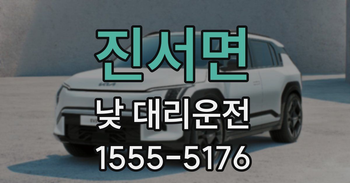 진서면 낮 대리운전