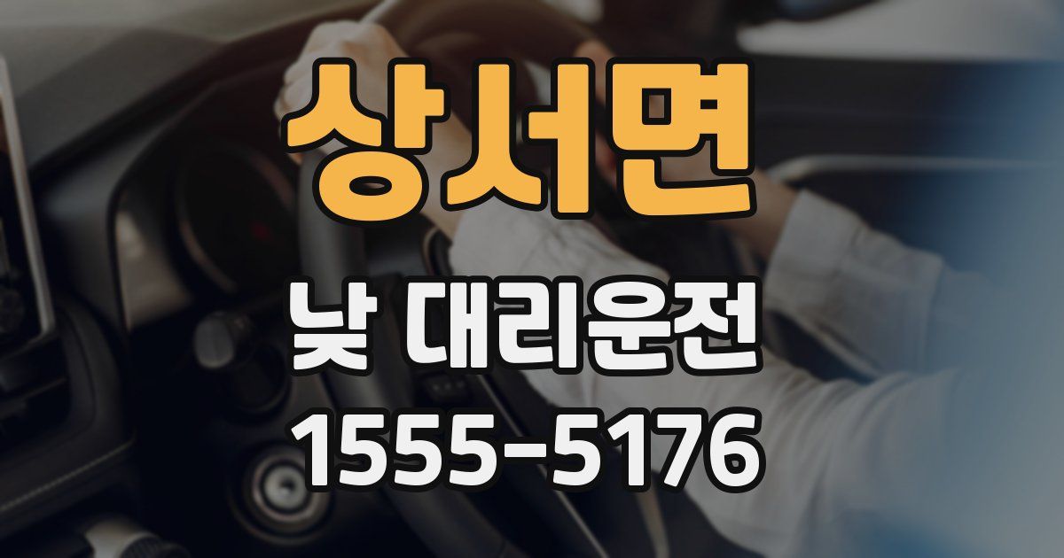 상서면 낮 대리운전