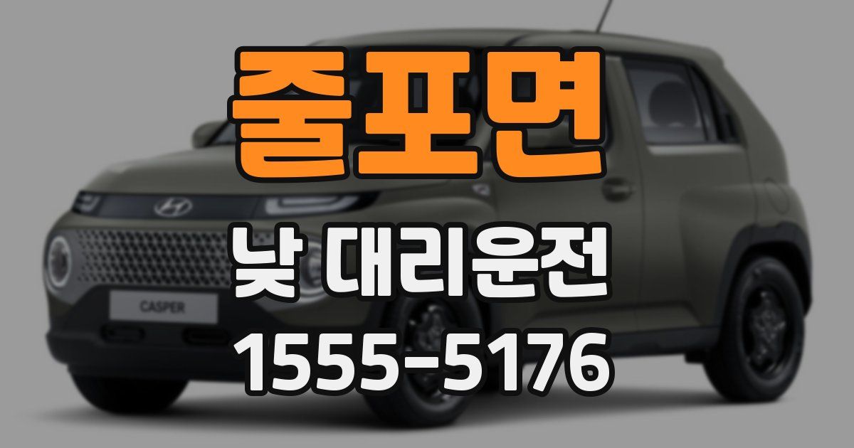줄포면 낮 대리운전