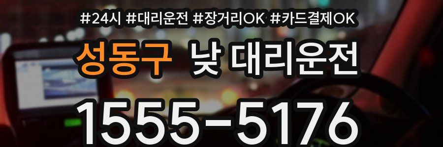 성동구 낮 대리운전