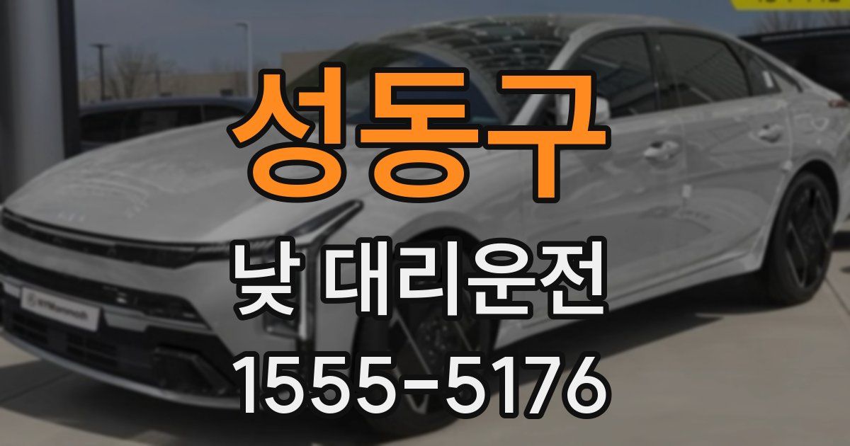 성동구 낮 대리운전