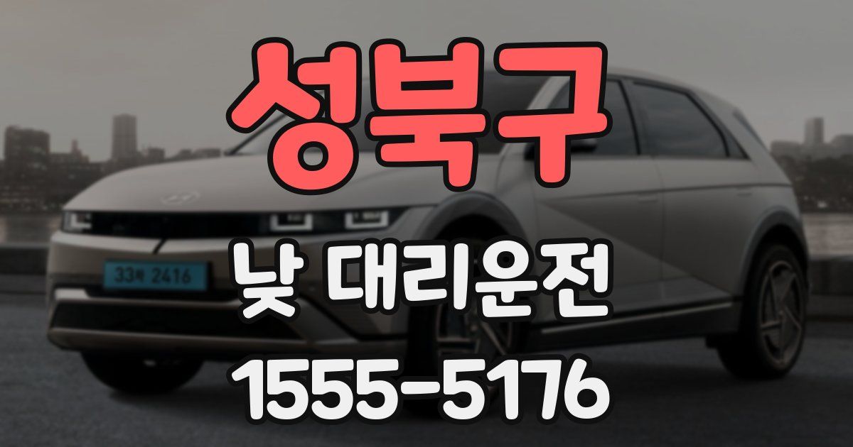성북구 낮 대리운전