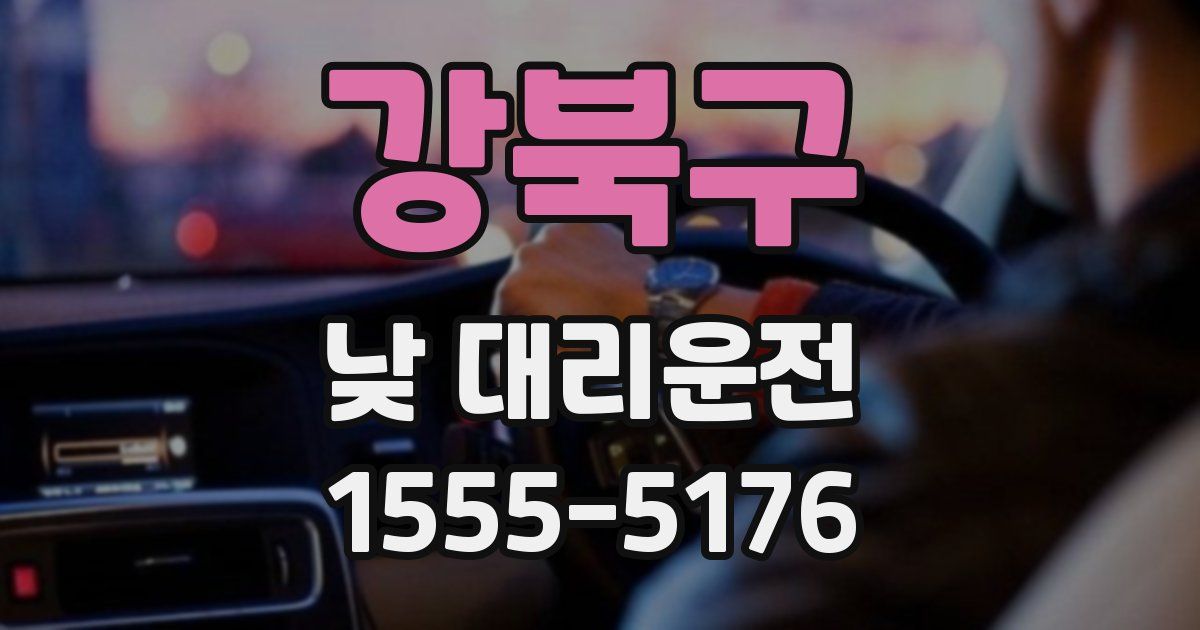 강북구 낮 대리운전