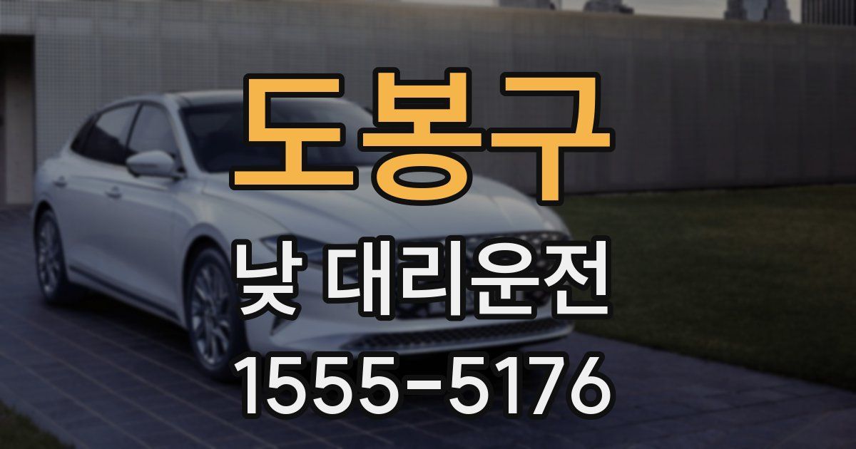 도봉구 낮 대리운전