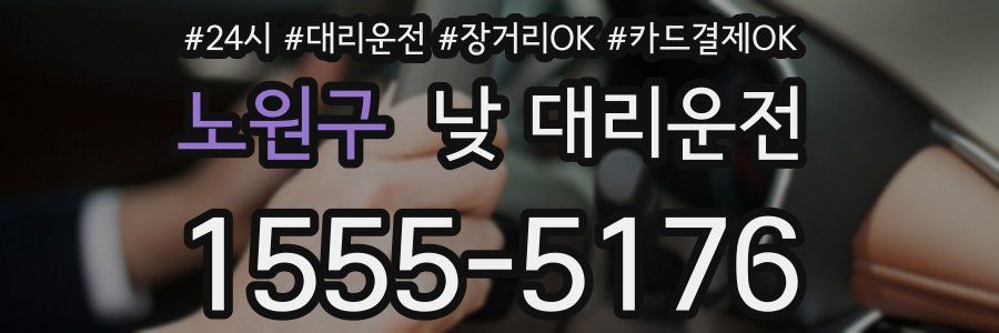 노원구 낮 대리운전