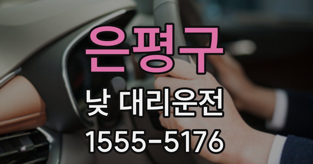 은평구 낮 대리운전