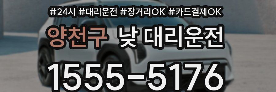 양천구 낮 대리운전